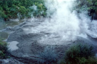 Hot Springs - Te Hemo Gorge