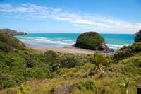 Te Henga Walkway